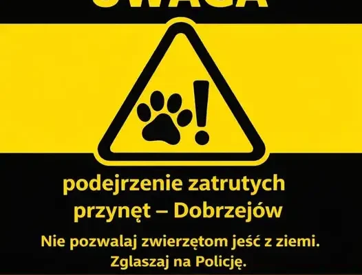 Ostrzeżenie przed zatrutymi przynętami w Dobrzejowie – zmarła suczka Frida