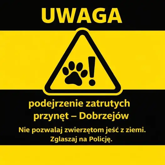 Ostrzeżenie przed zatrutymi przynętami w Dobrzejowie – zmarła suczka Frida