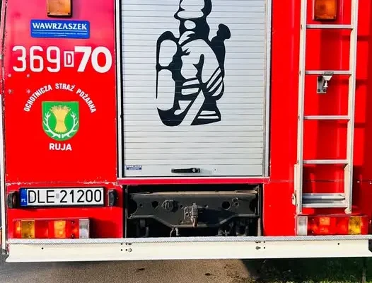 Interwencja OSP Ruja: usuwanie gniazda owadów błonkoskrzydłych w Dzierżkowicach