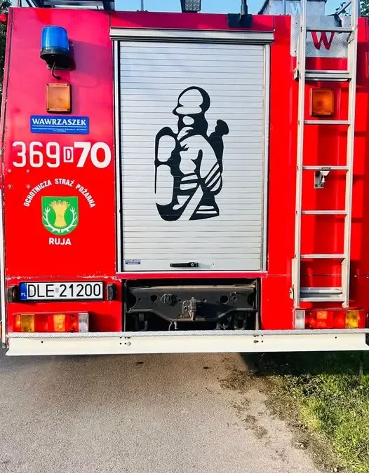 Interwencja OSP Ruja: usuwanie gniazda owadów błonkoskrzydłych w Dzierżkowicach