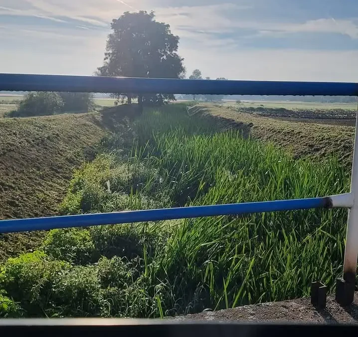 Miłkowice: mieszkańcy wbiegli do średniowiecznego koła wodnego