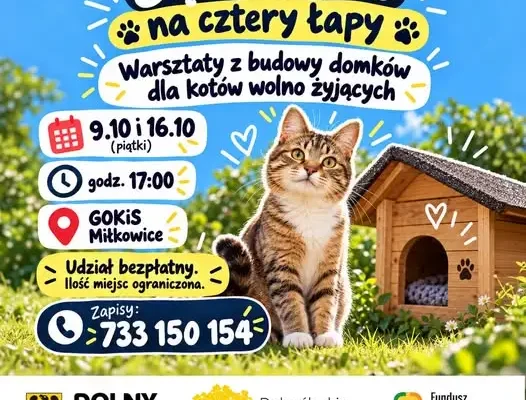 Warsztaty w Miłkowicach: wspólnie zbudujemy domki dla kotów wolno żyjących